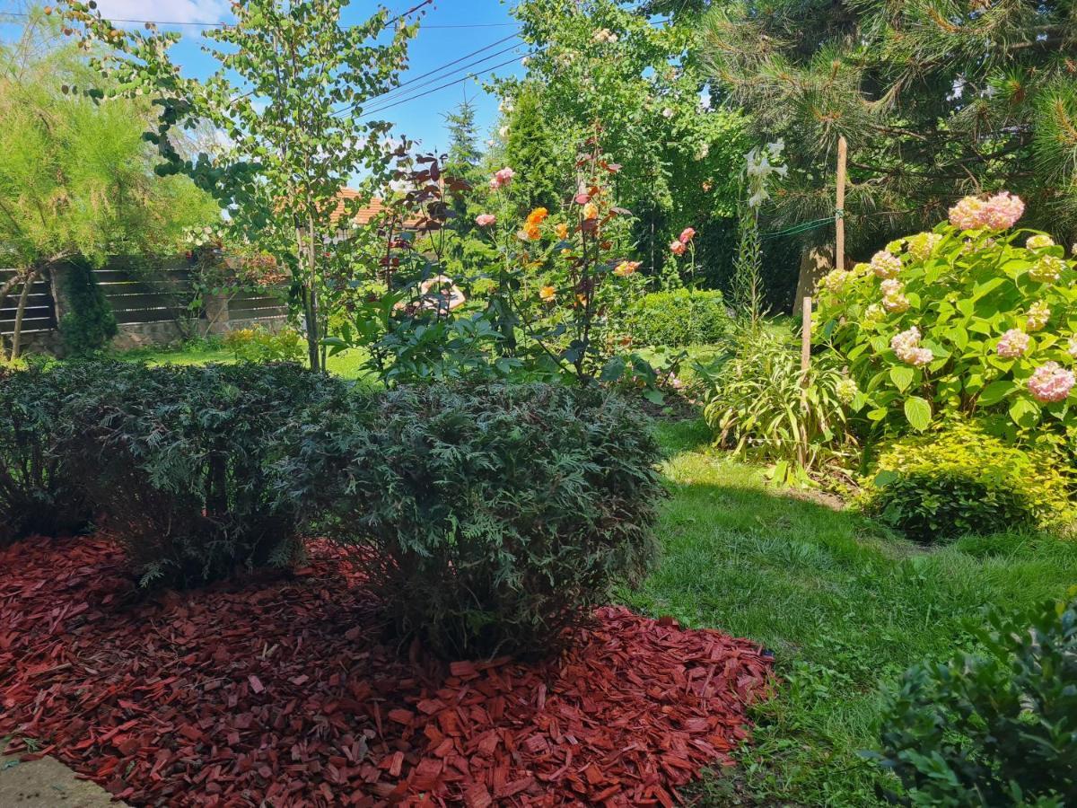 Natura Apartment Beograd Eksteriør billede
