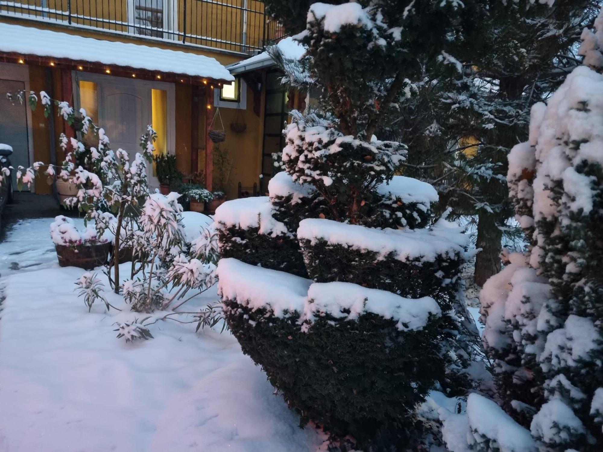 Natura Apartment Beograd Eksteriør billede