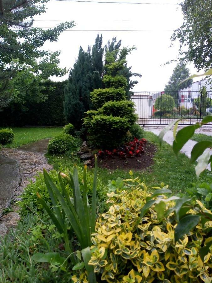 Natura Apartment Beograd Eksteriør billede