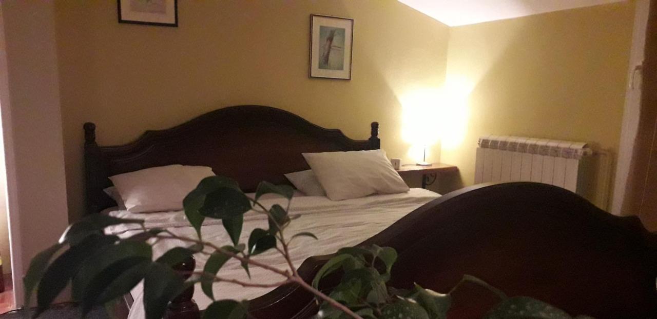 Natura Apartment Beograd Eksteriør billede